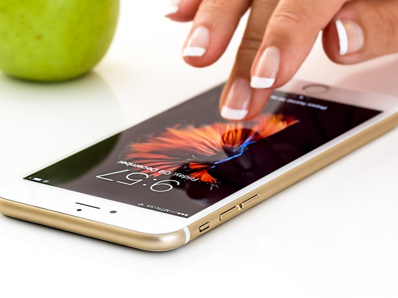 Apple iPhone 11.  The Apple of Our&nbsp;Eye?